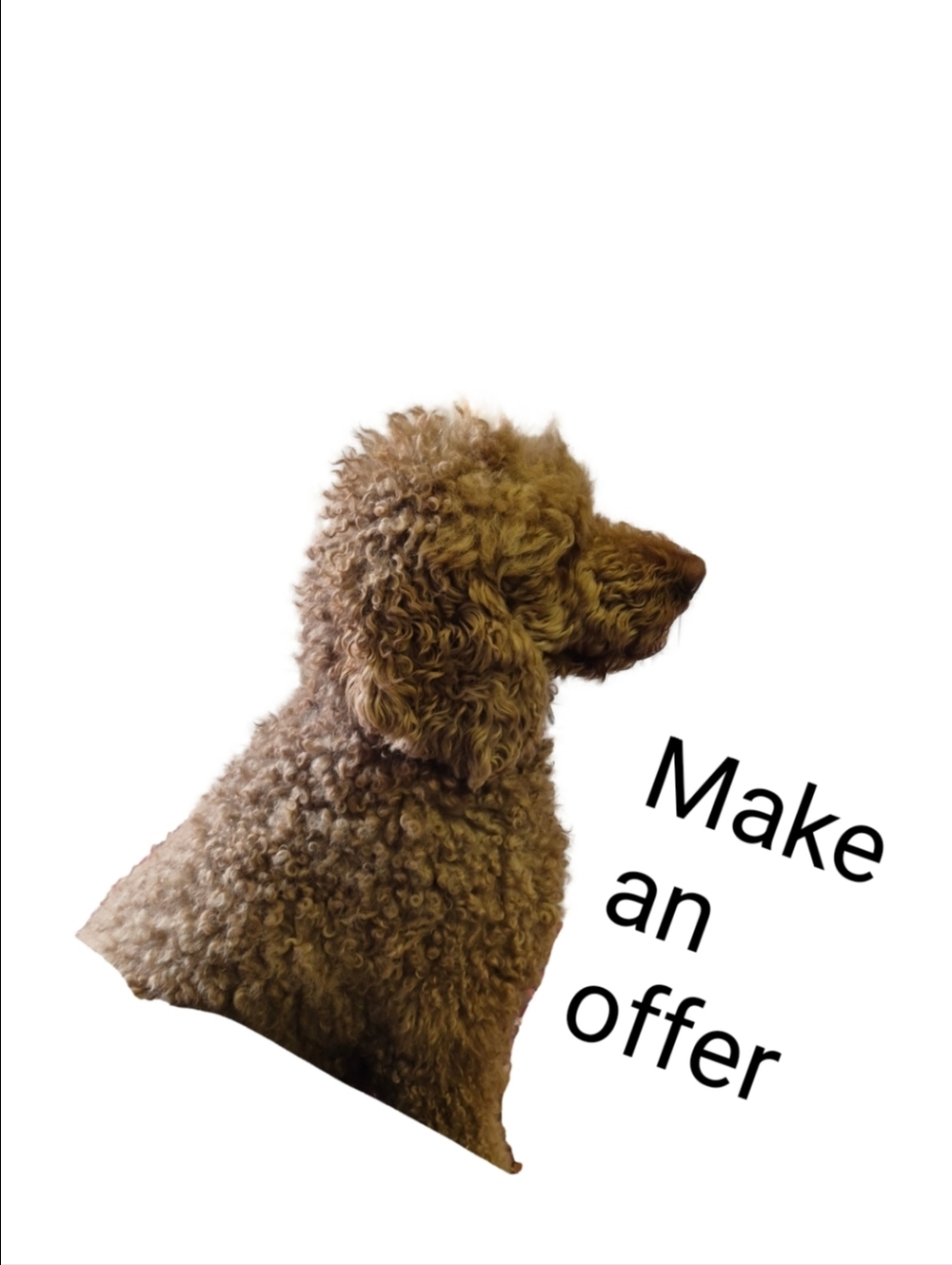 Make An Offer On My Listings